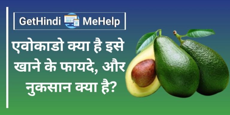 benefits of Avocado in Hindi