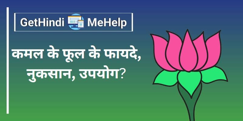 Kamal Ka Phool Importance in Hindi | (कमल का फूल)