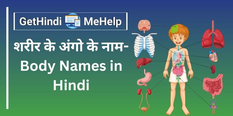 body parts name in hindi